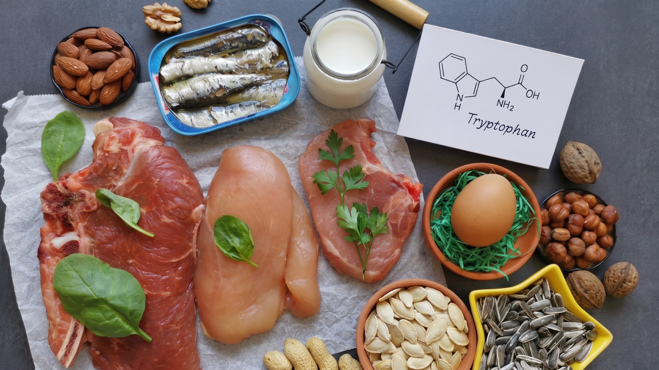 10 Sleep Aids That Actually Work: Science-Backed Options For Better Rest 12 An Overhead Flat Lay Of Protein-Rich Foods On A Dark Slate Background, Centered Around A Card Illustrating The Chemical Structure Of Tryptophan. The Arrangement Features Raw Steak, Chicken Breast, A Pork Chop, And A Tin Of Sardines Alongside A Jar Of Milk And A Single Egg. Various Nuts And Seeds, Including Almonds, Hazelnuts, Peanuts, And Sunflower Seeds, Are Scattered In Small Bowls Or Directly On The Surface. Fresh Spinach Leaves And A Sprig Of Parsley Provide Small Green Accents Across The Meats.