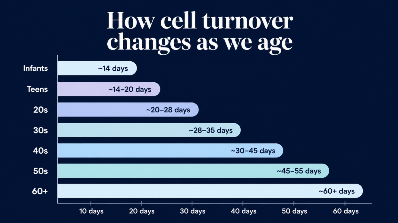 Why Your Skin Looks Tired: 9 Hidden Causes &Amp; Quick Fixes 5 Infographic On A Dark Blue Background Showing How Skin Cell Turnover Slows With Age, With Horizontal Bars Indicating Increasing Renewal Time From About 14 Days In Infants To Over 60 Days In People Aged 60+.